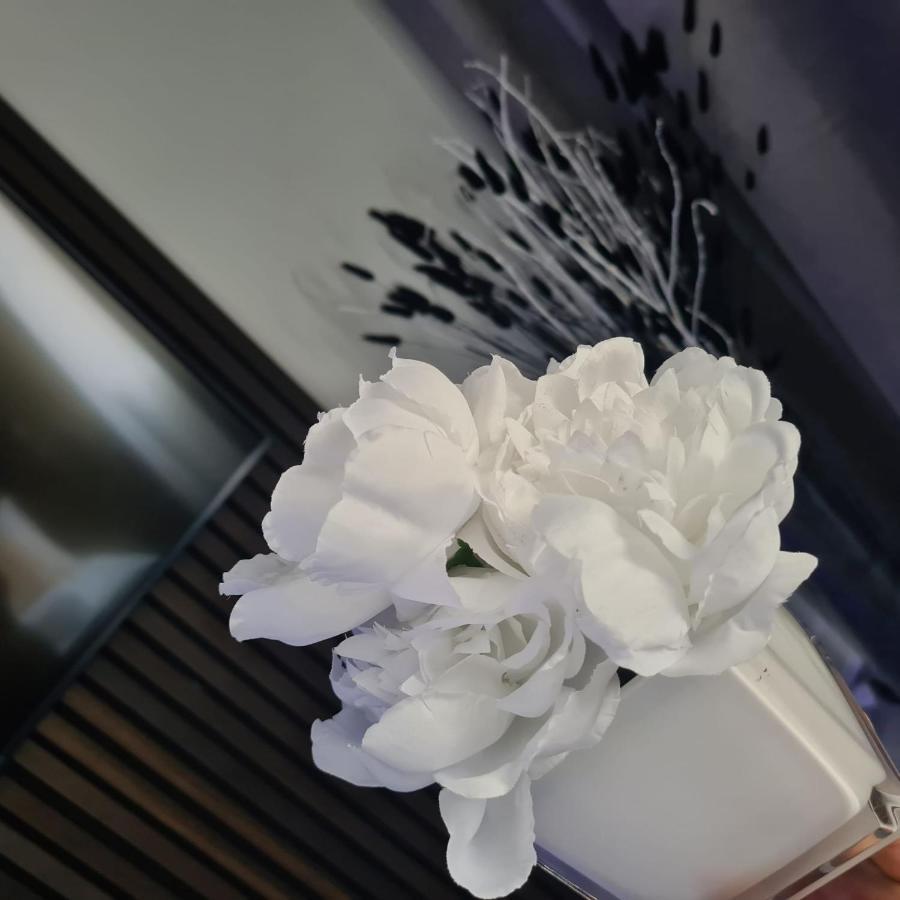 Luxury 9Ine Penthouse With Garden & Jacuzzi Daire Birmingham Dış mekan fotoğraf